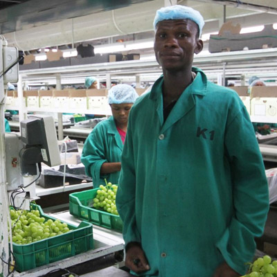 Farmworker-in-Packhouse