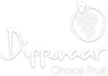 Dippenaar Choice Fruit Logo